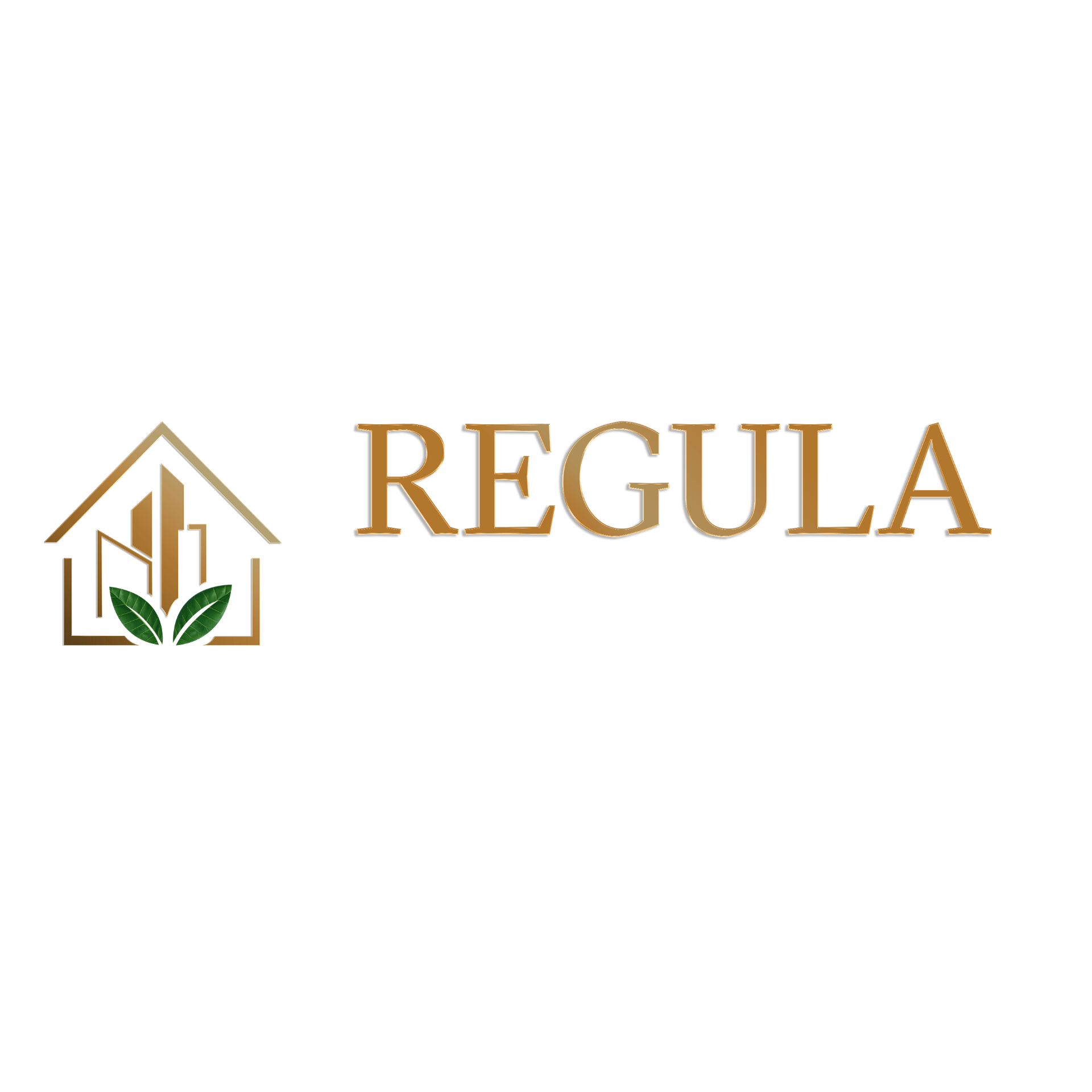REGULA CONECTA